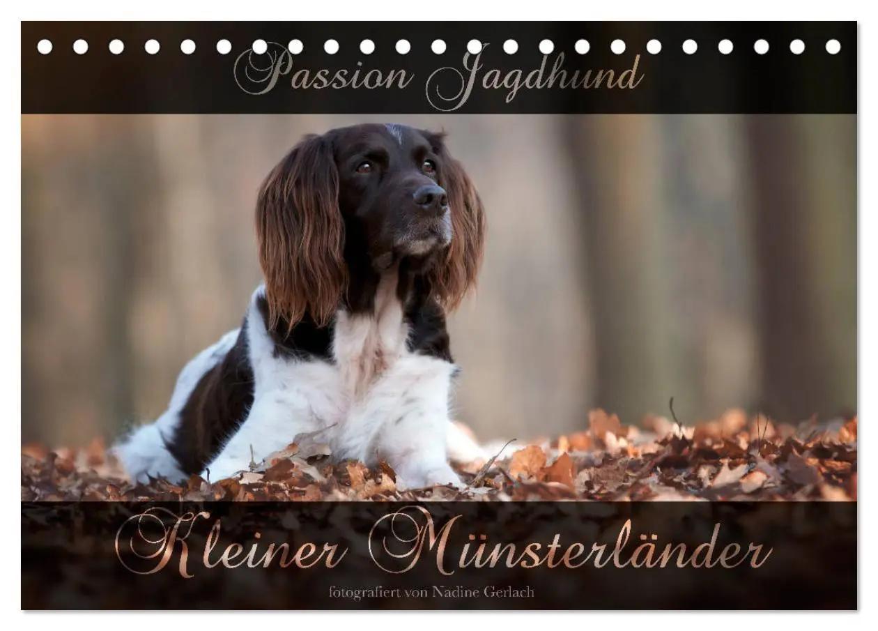 Cover: 9783457805084 | Passion Jagdhund - Kleiner Münsterländer (Tischkalender 2026 DIN A5...