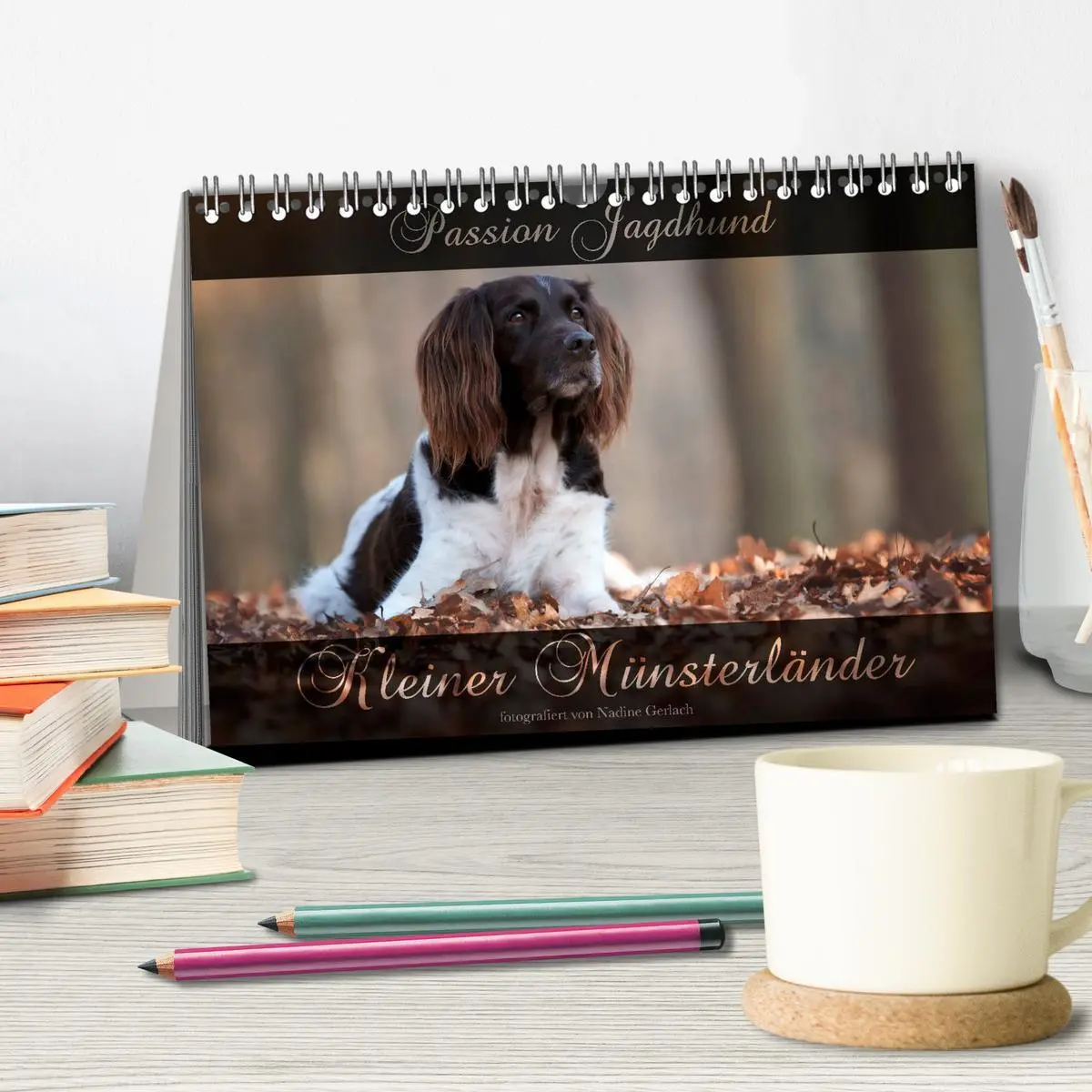 Bild: 9783457805084 | Passion Jagdhund - Kleiner Münsterländer (Tischkalender 2026 DIN A5...