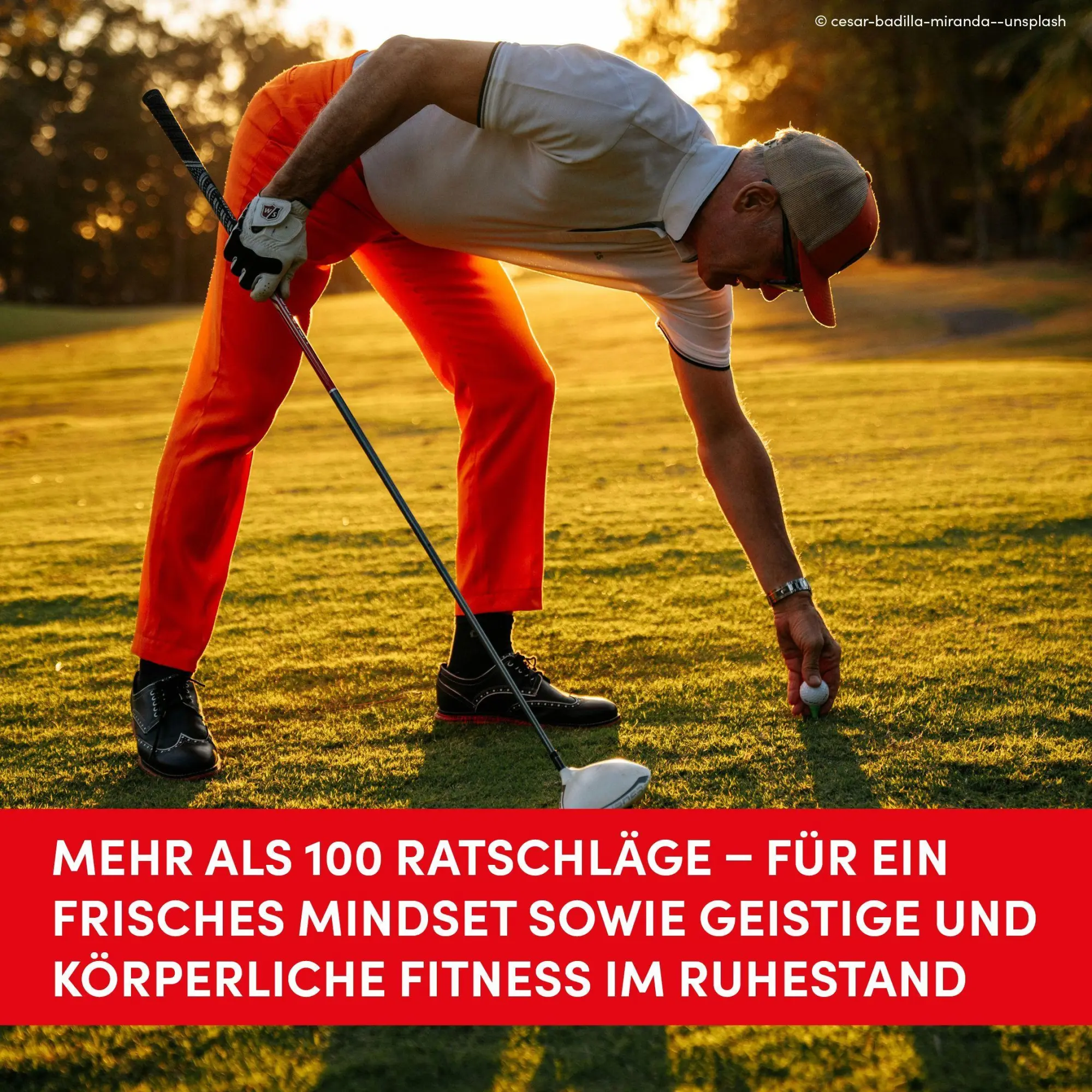 Bild: 9783735855084 | Das Leben ist vor dem 12. und nach dem 65. Lebensjahr am besten | Buch