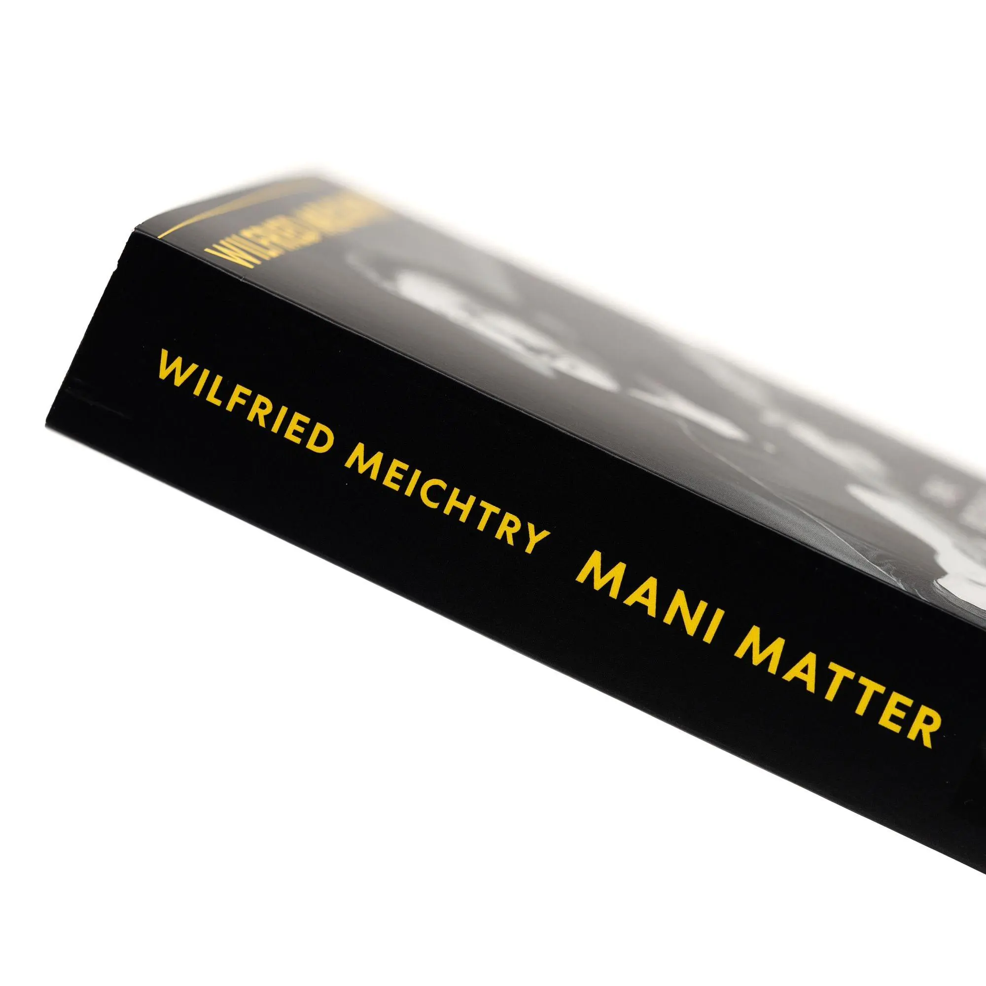 Bild: 9783312015184 | Mani Matter | Wilfried Meichtry | Taschenbuch | 416 S. | Deutsch