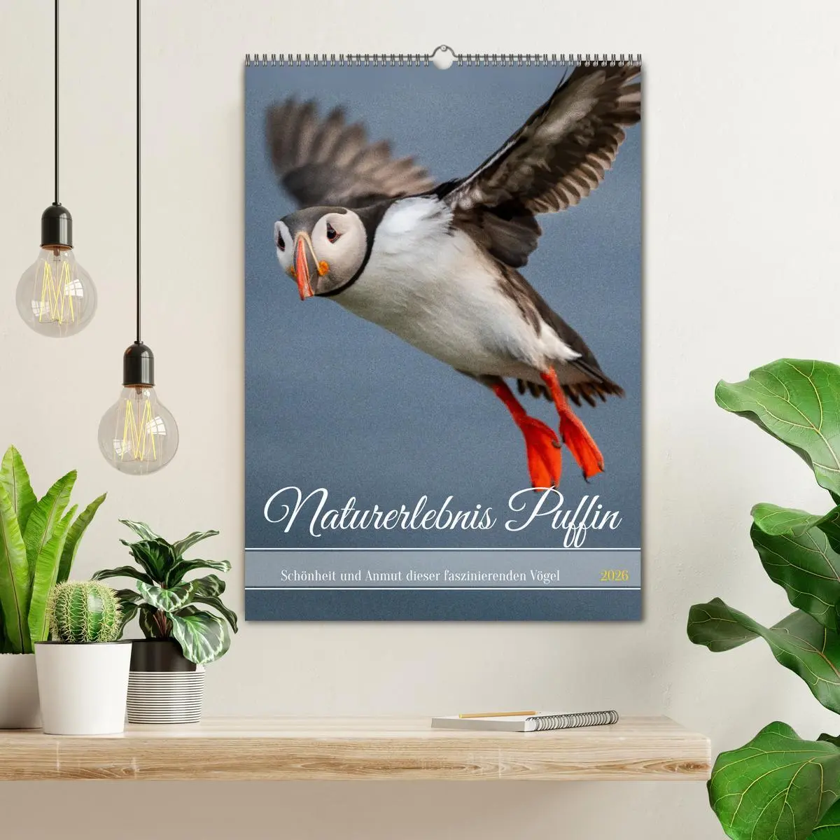 Bild: 9783516295184 | Naturerlebnis Puffin (Wandkalender 2026 DIN A2 hoch), CALVENDO...