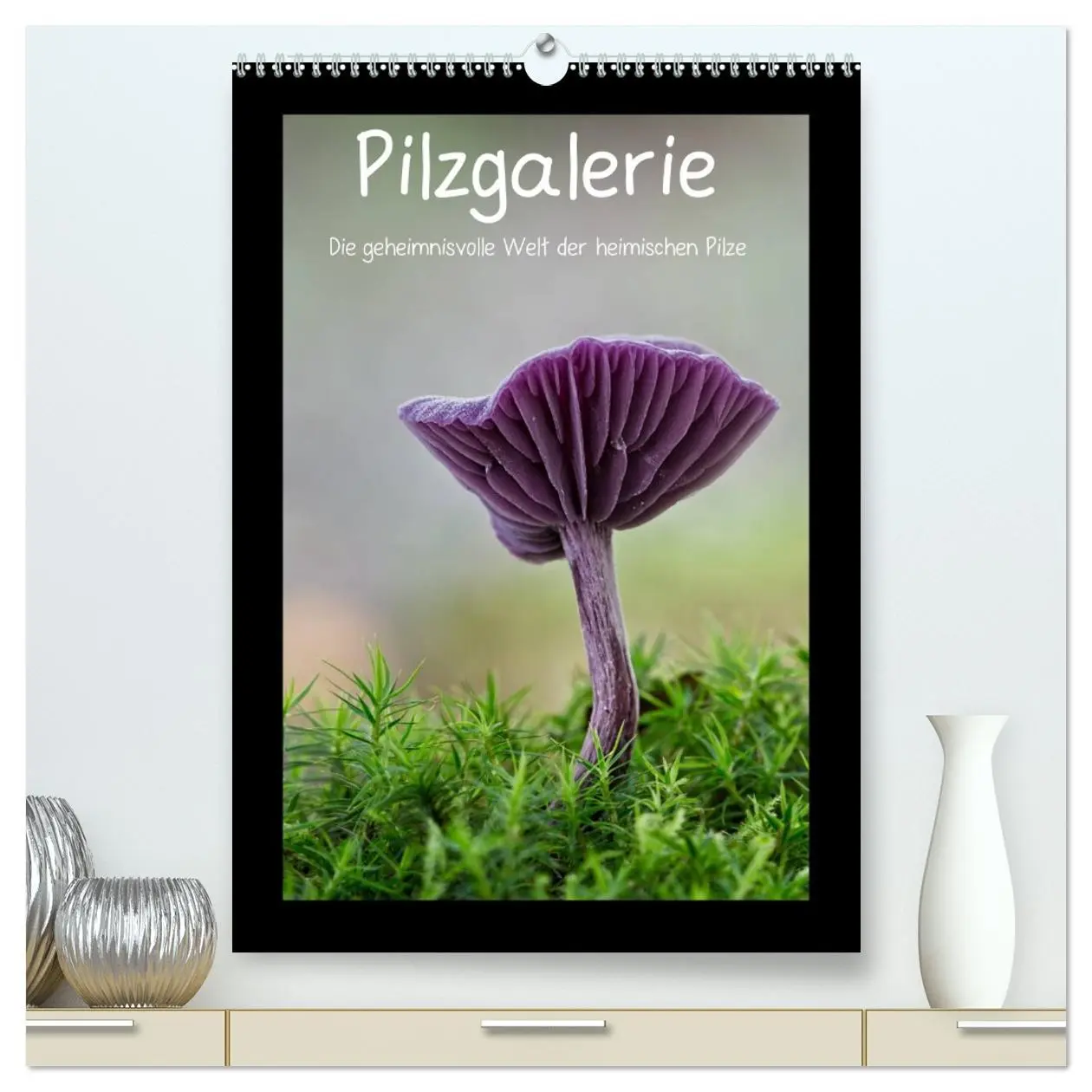 Cover: 9783516435184 | Pilzgalerie - Die geheimnisvolle Welt der heimischen Pilze...