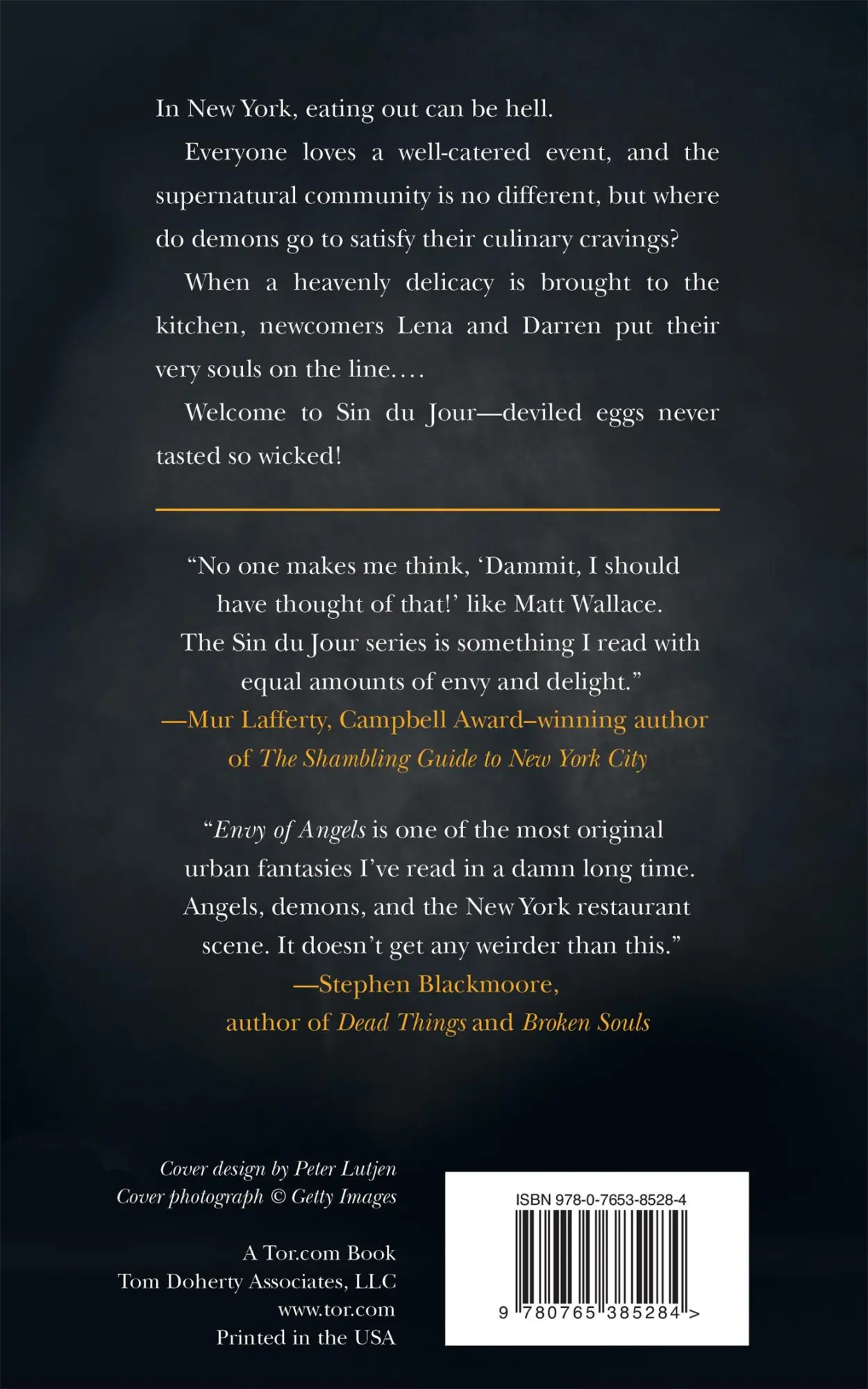 Rückseite: 9780765385284 | ENVY OF ANGELS | Matt Wallace | Taschenbuch | Kartoniert / Broschiert