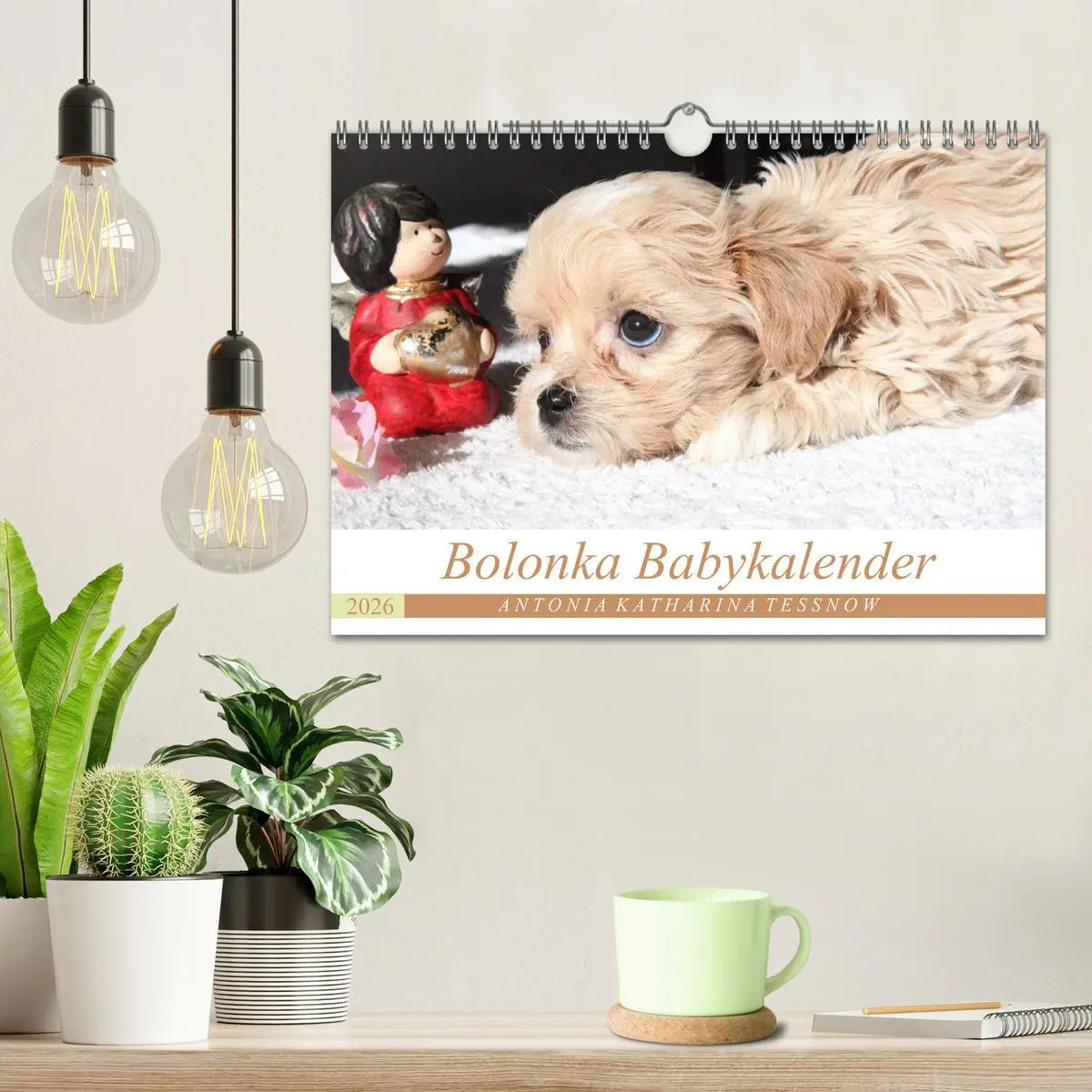 Bild: 9783457885284 | Bolonka Babykalender 2026 (Wandkalender 2026 DIN A4 quer), CALVENDO...
