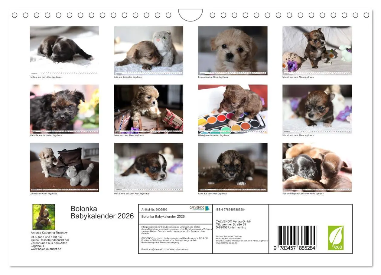 Bild: 9783457885284 | Bolonka Babykalender 2026 (Wandkalender 2026 DIN A4 quer), CALVENDO...