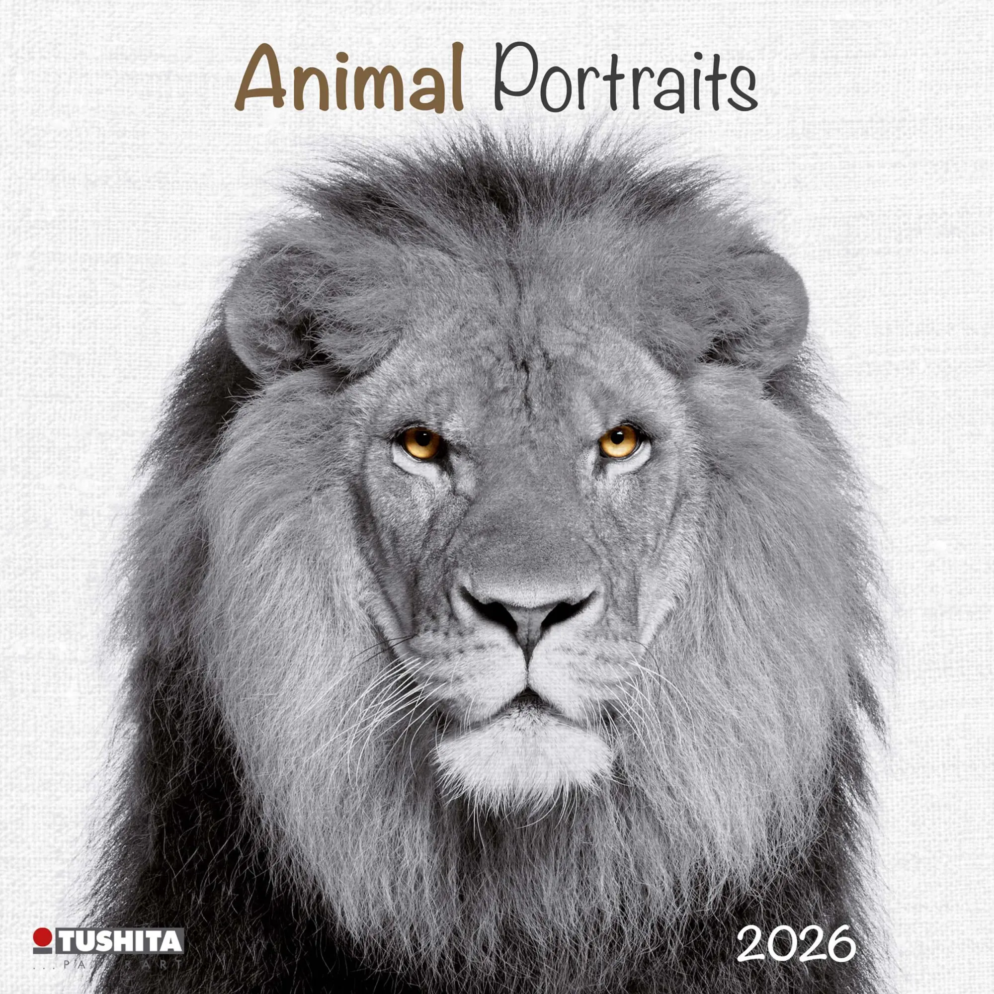 Cover: 9783959295284 | Animal Portrait 2026 | Kalender 2026 | Kalender | Wonderful World