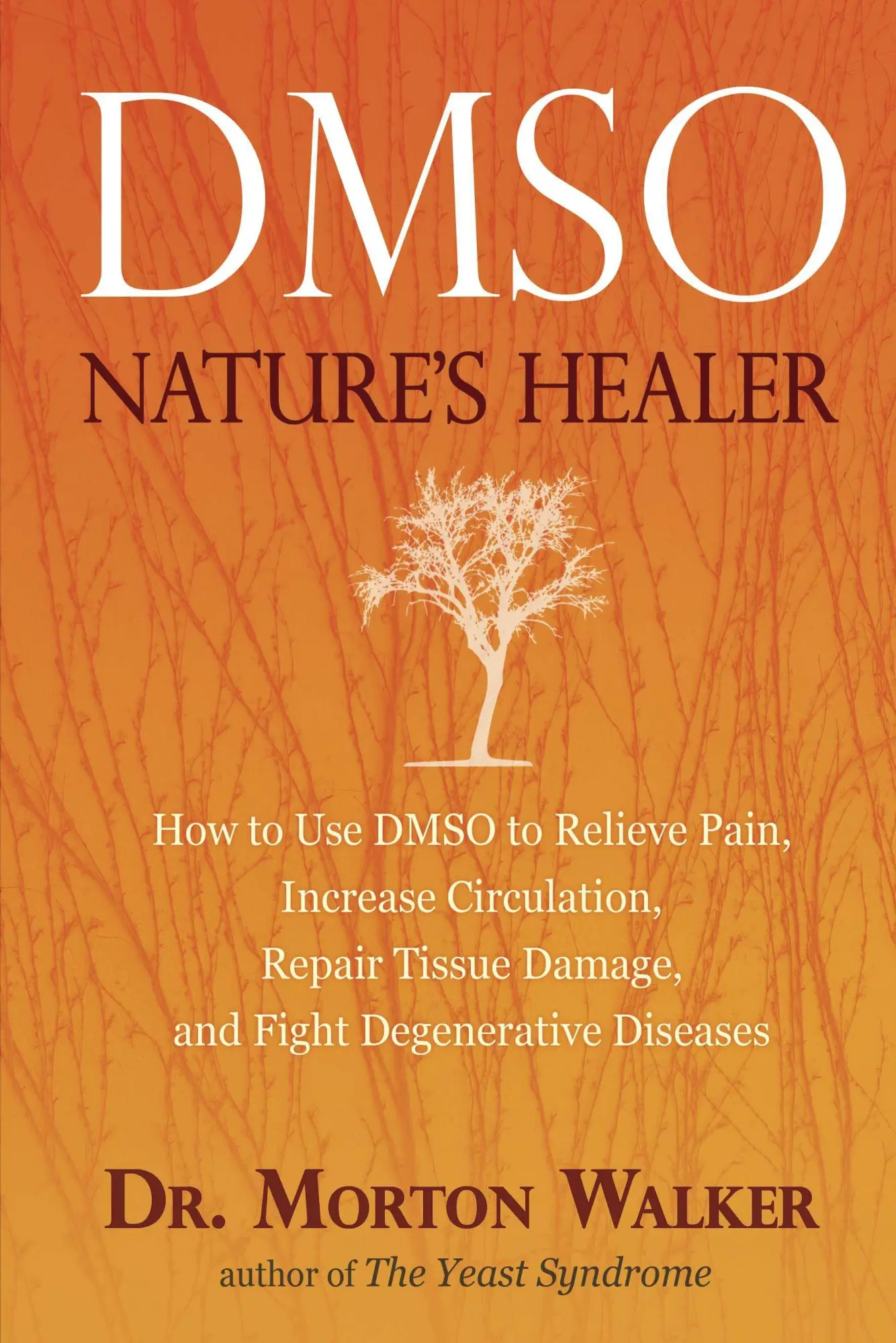Cover: 9780895295484 | Dmso | Nature's Healer | Morton Walker | Taschenbuch | Englisch | 1993