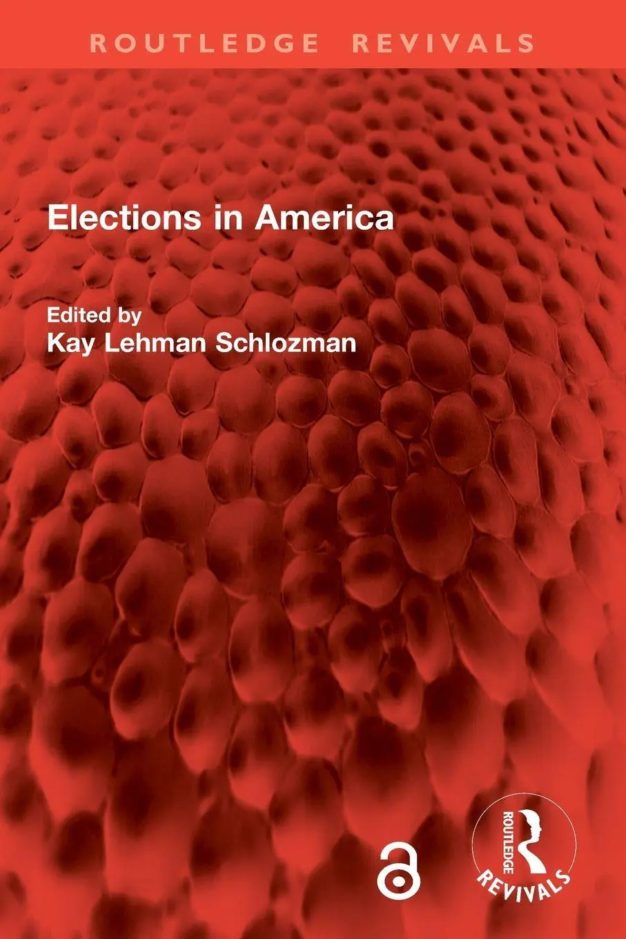 Cover: 9781032875484 | Elections in America | Kay Lehman Schlozman | Taschenbuch | Englisch
