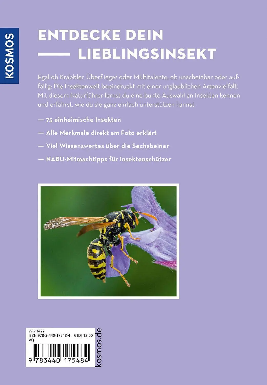 Bild: 9783440175484 | Wer summt denn hier? | Frank Hecker | Taschenbuch | 128 S. | Deutsch