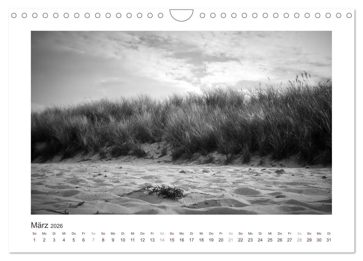 Bild: 9783457935484 | Monochrom Meer (Wandkalender 2026 DIN A4 quer), CALVENDO...