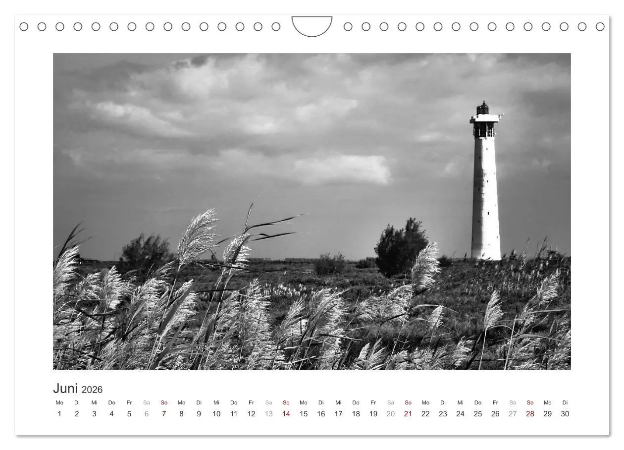 Bild: 9783457935484 | Monochrom Meer (Wandkalender 2026 DIN A4 quer), CALVENDO...