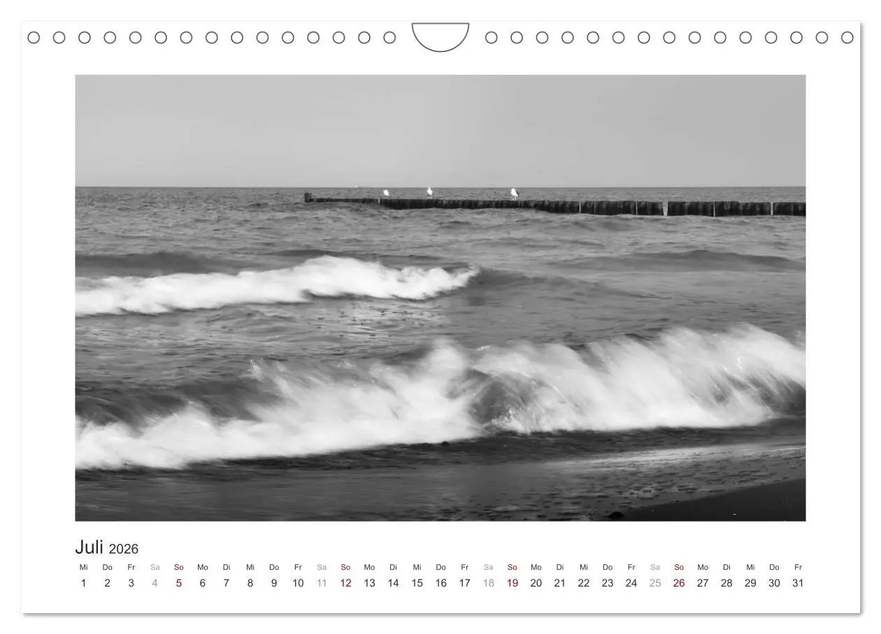 Bild: 9783457935484 | Monochrom Meer (Wandkalender 2026 DIN A4 quer), CALVENDO...