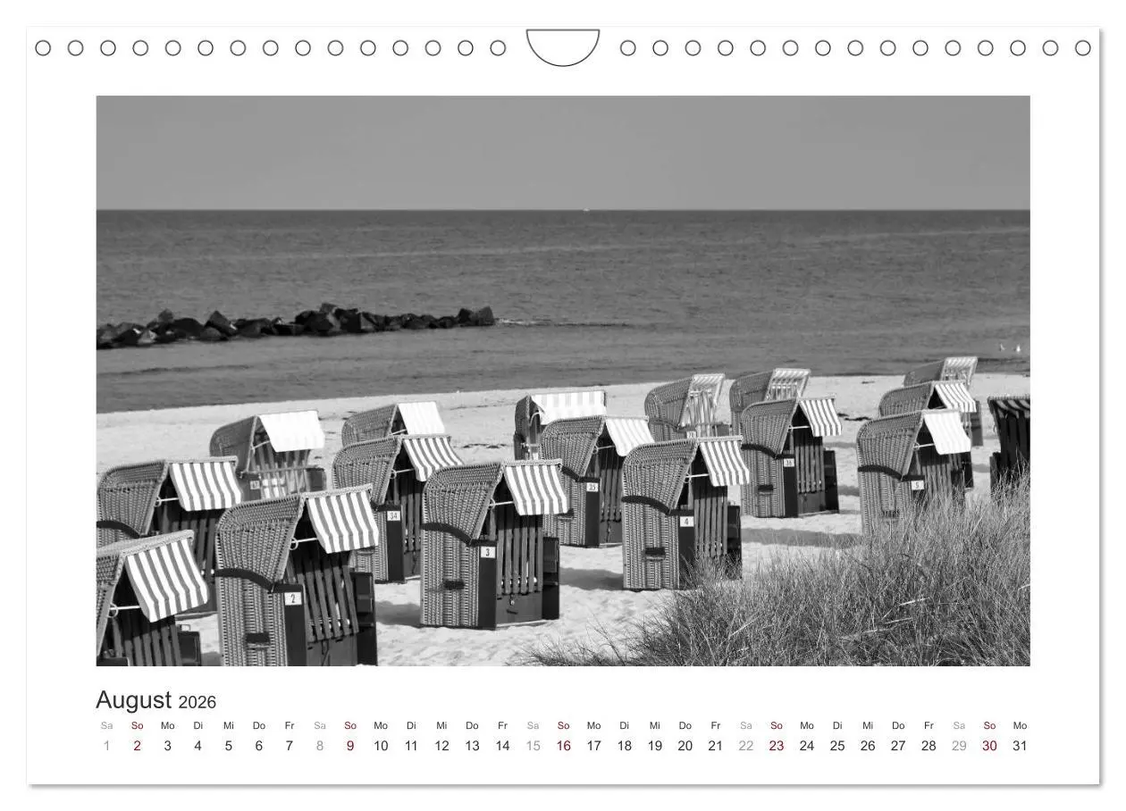 Bild: 9783457935484 | Monochrom Meer (Wandkalender 2026 DIN A4 quer), CALVENDO...
