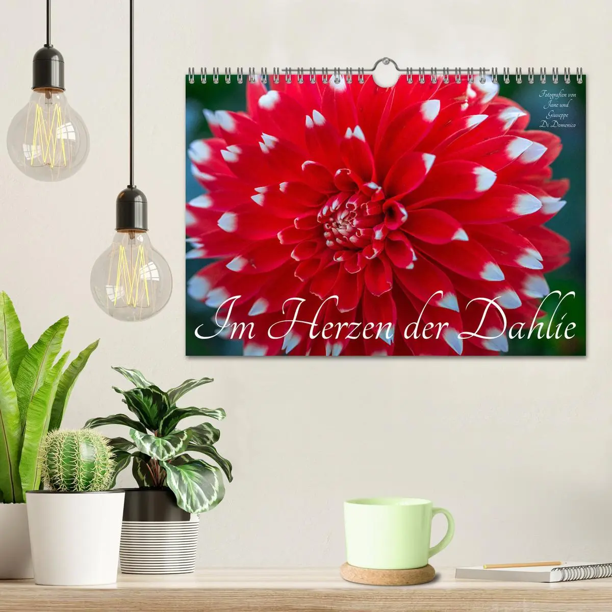 Bild: 9783457545584 | Im Herzen der Dahlie (Wandkalender 2026 DIN A4 quer), CALVENDO...