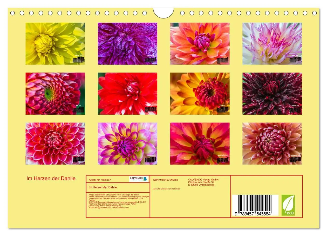 Bild: 9783457545584 | Im Herzen der Dahlie (Wandkalender 2026 DIN A4 quer), CALVENDO...