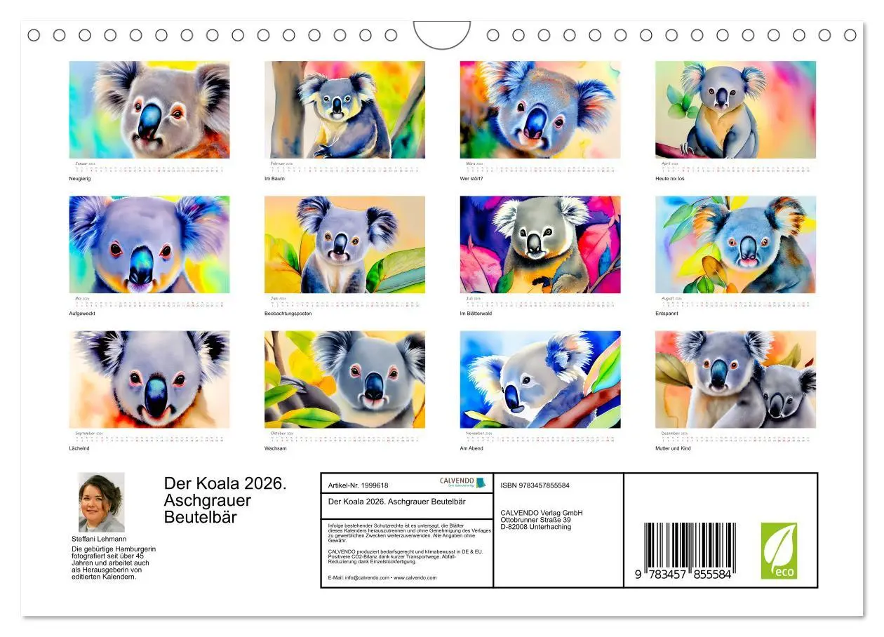 Bild: 9783457855584 | Der Koala 2026. Aschgrauer Beutelbär (Wandkalender 2026 DIN A4...