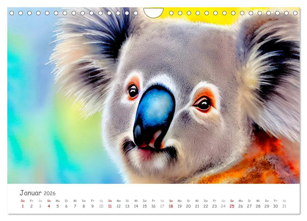 Bild: 9783457855584 | Der Koala 2026. Aschgrauer Beutelbär (Wandkalender 2026 DIN A4...