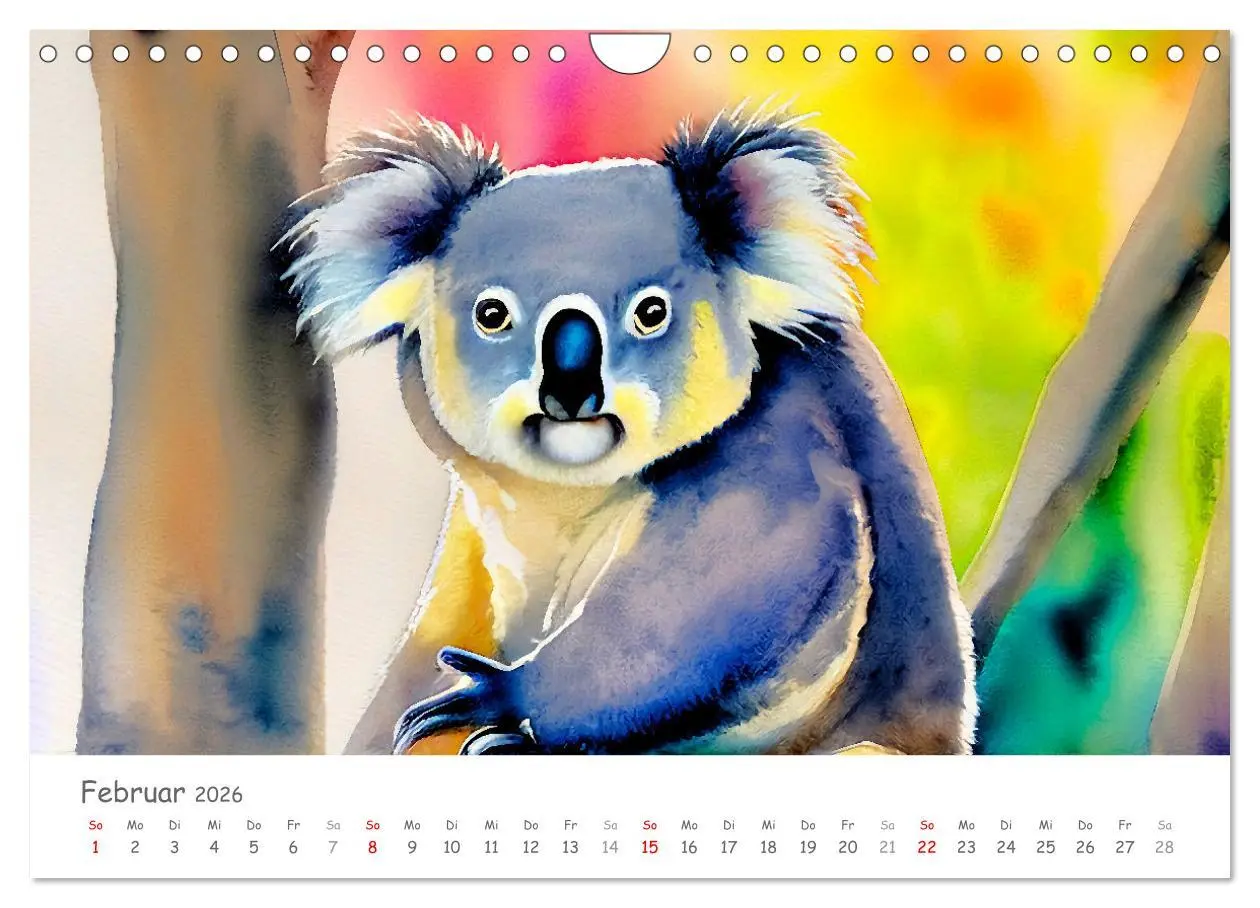 Bild: 9783457855584 | Der Koala 2026. Aschgrauer Beutelbär (Wandkalender 2026 DIN A4...