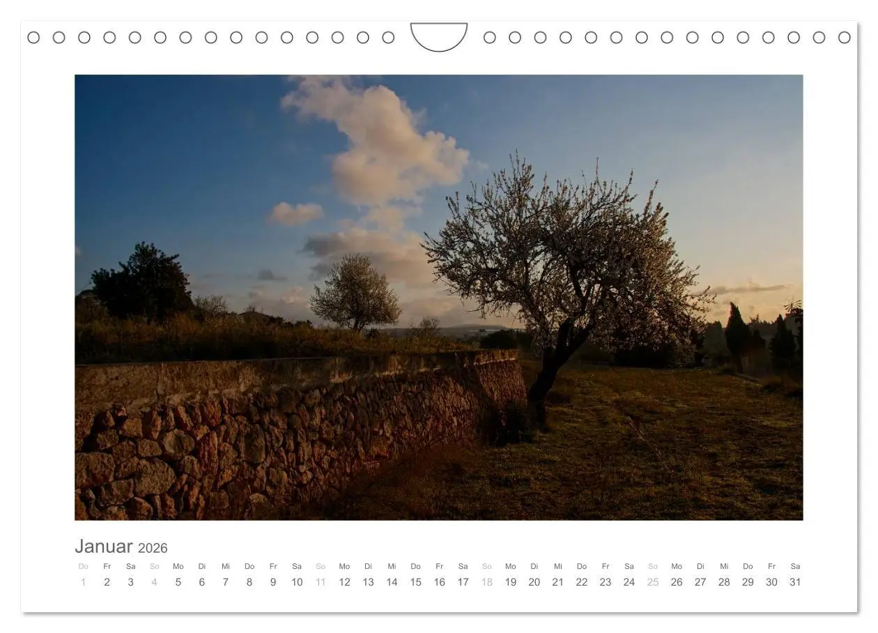Bild: 9783516175684 | Mallorca - Impressionen (Wandkalender 2026 DIN A4 quer), CALVENDO...