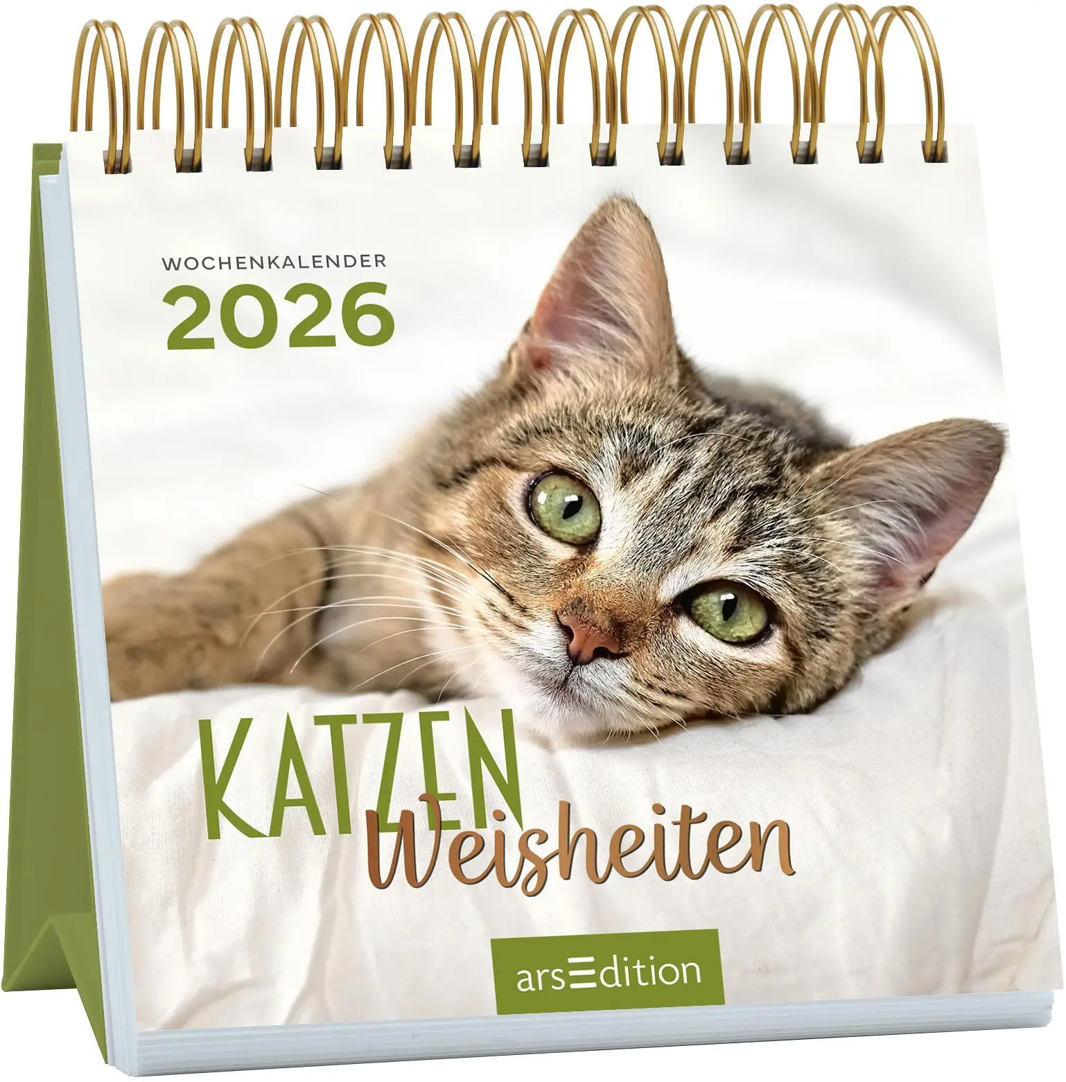 Cover: 4014489135784 | Mini-Wochenkalender Katzenweisheiten 2026 | Kalender | 108 S. | 2026