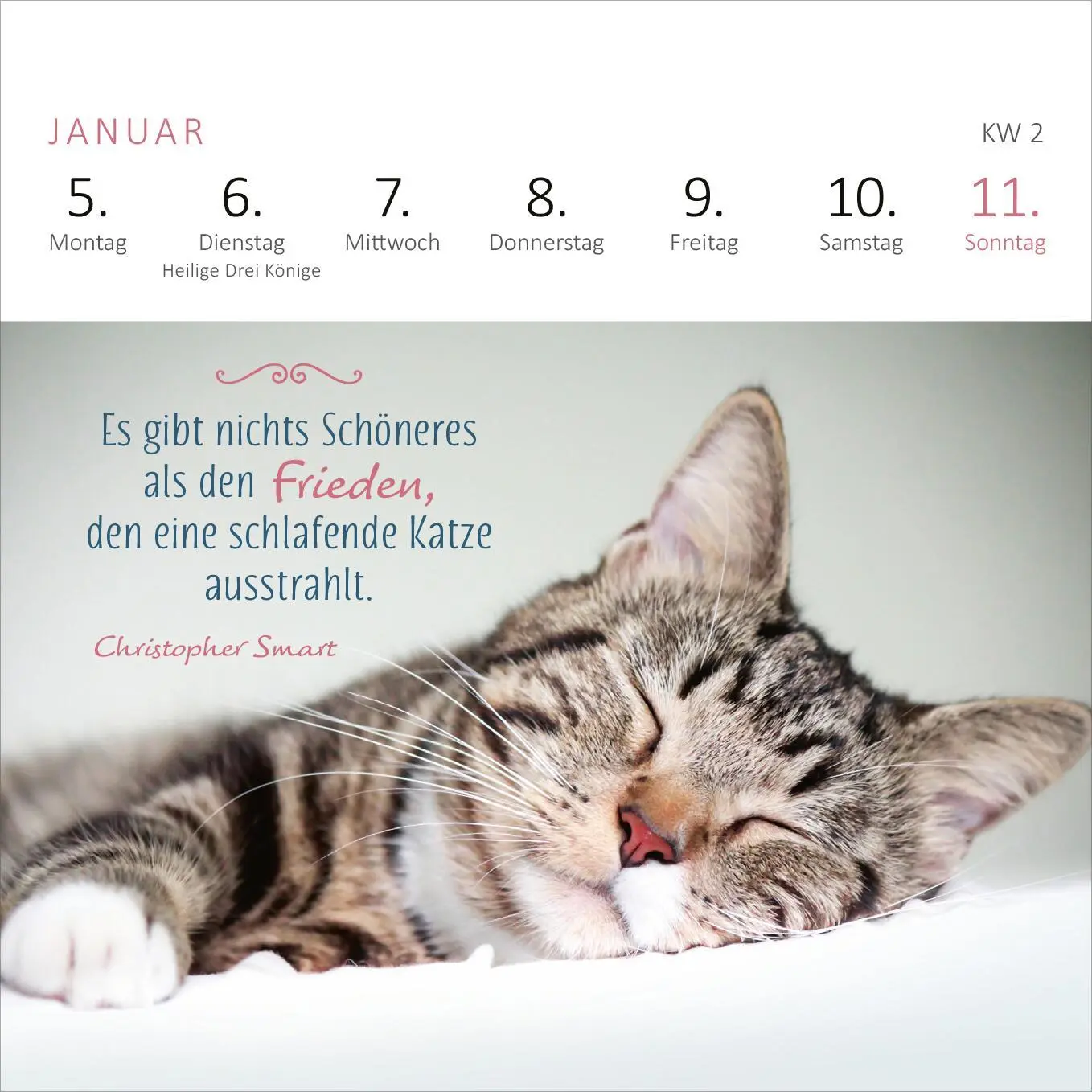 Bild: 4014489135784 | Mini-Wochenkalender Katzenweisheiten 2026 | Kalender | 108 S. | 2026