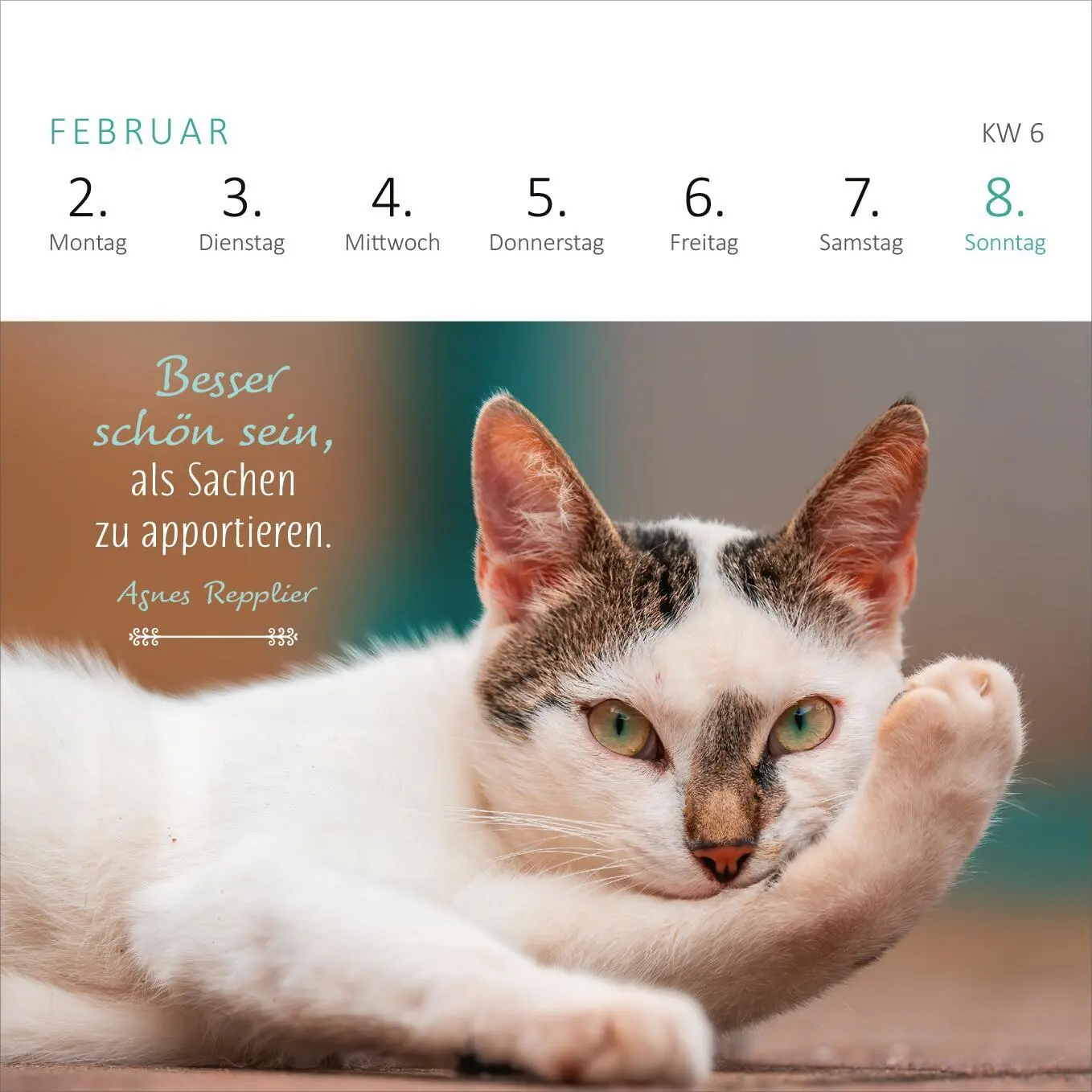 Bild: 4014489135784 | Mini-Wochenkalender Katzenweisheiten 2026 | Kalender | 108 S. | 2026