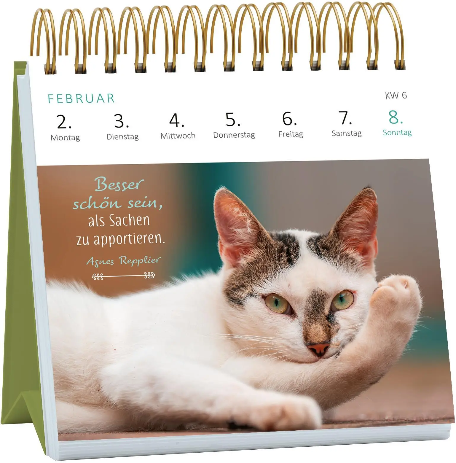 Bild: 4014489135784 | Mini-Wochenkalender Katzenweisheiten 2026 | Kalender | 108 S. | 2026