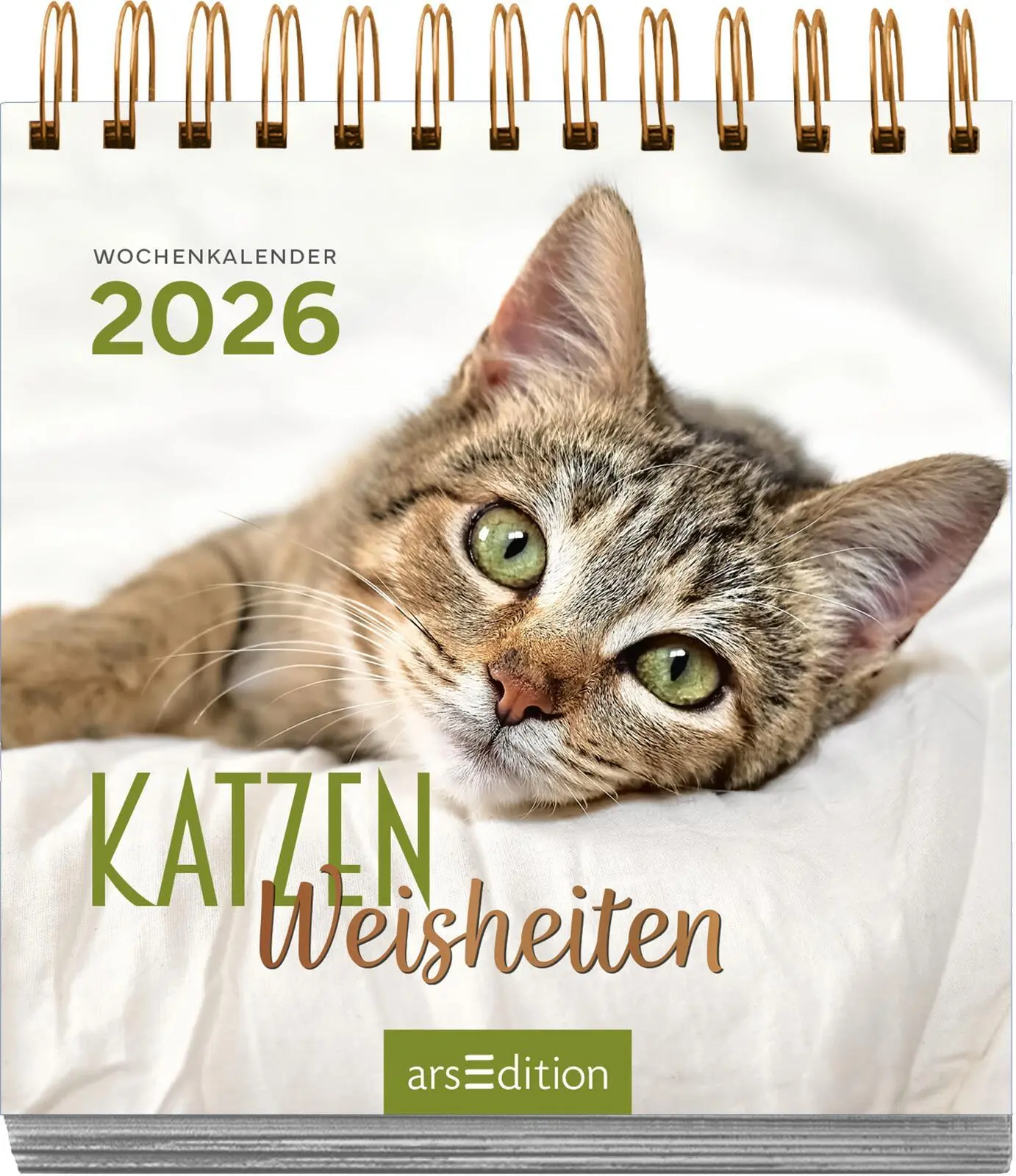 Bild: 4014489135784 | Mini-Wochenkalender Katzenweisheiten 2026 | Kalender | 108 S. | 2026