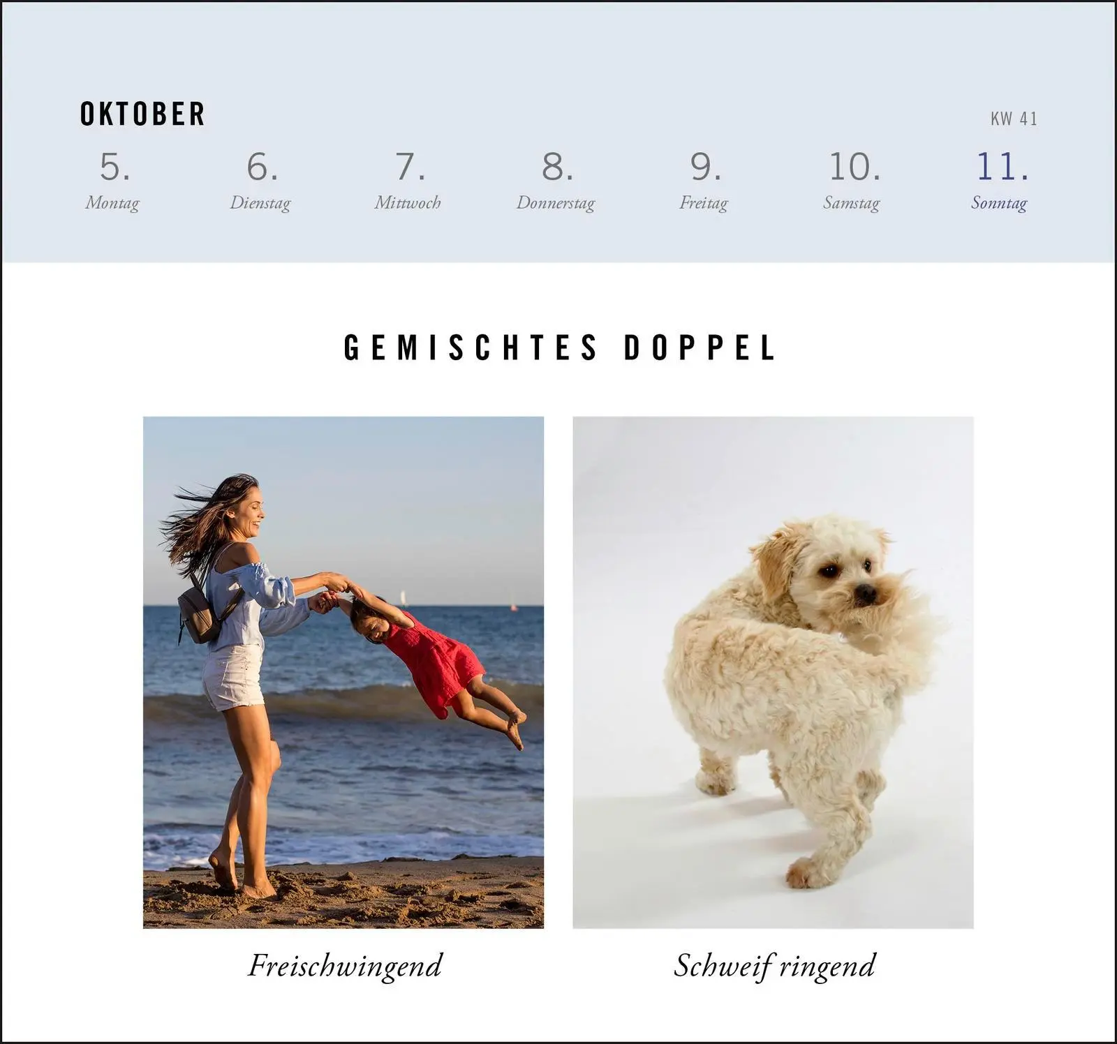 Bild: 4260308345784 | Postkartenkalender 2026: Gemischtes Doppel | Magazin | Kalender | 2026
