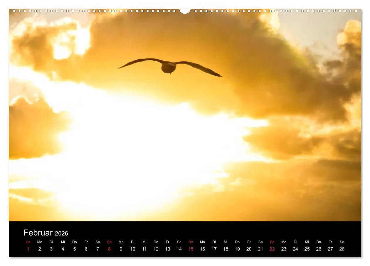 Bild: 9783516095784 | Wolkenmalerei (Wandkalender 2026 DIN A2 quer), CALVENDO Monatskalender