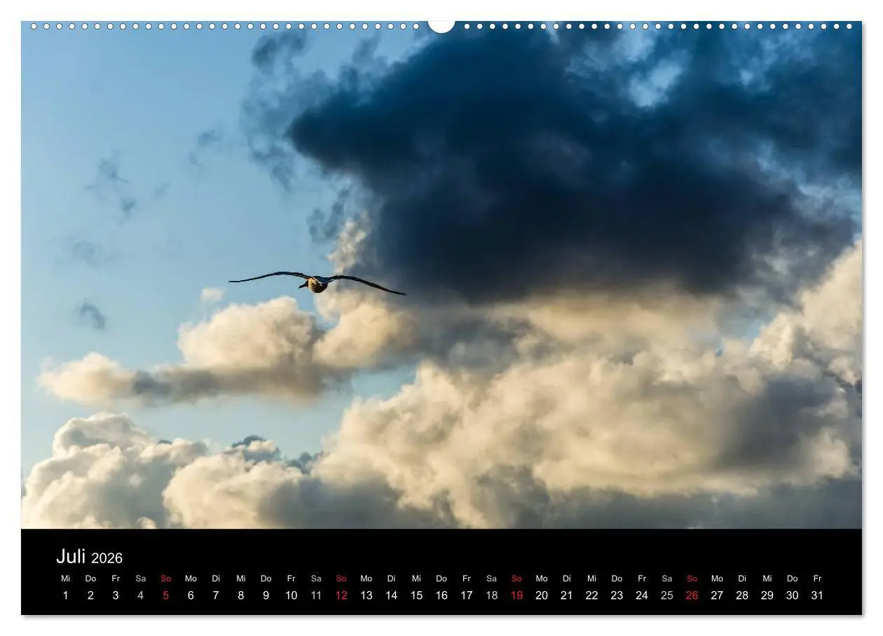 Bild: 9783516095784 | Wolkenmalerei (Wandkalender 2026 DIN A2 quer), CALVENDO Monatskalender