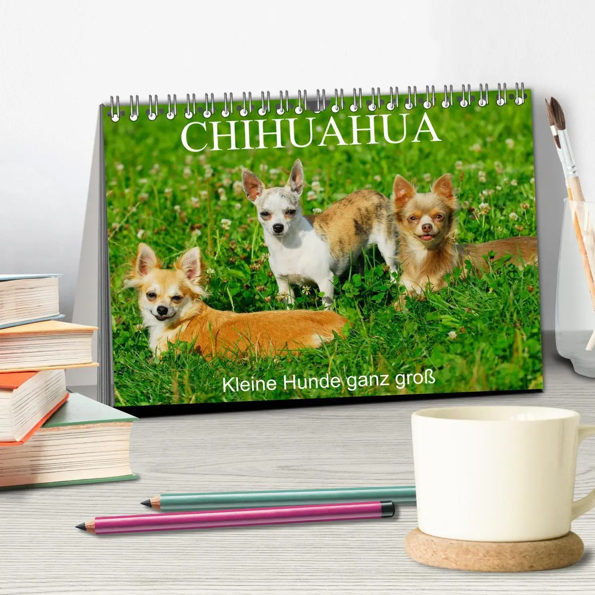 Bild: 9783516165784 | Chihuahua - Kleine Hunde ganz groß (Tischkalender 2026 DIN A5...