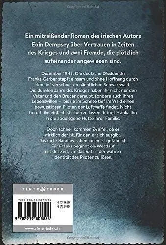 Rückseite: 9782919805884 | Funken in der Dunkelheit | Eoin Dempsey | Taschenbuch | 332 S. | 2019