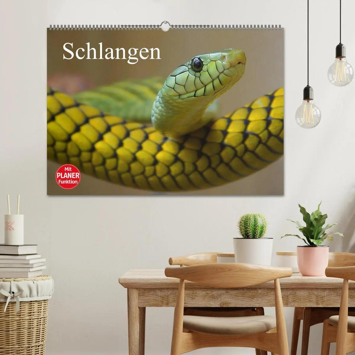 Bild: 9783457995884 | Schlangen (Wandkalender 2026 DIN A2 quer), CALVENDO Monatskalender