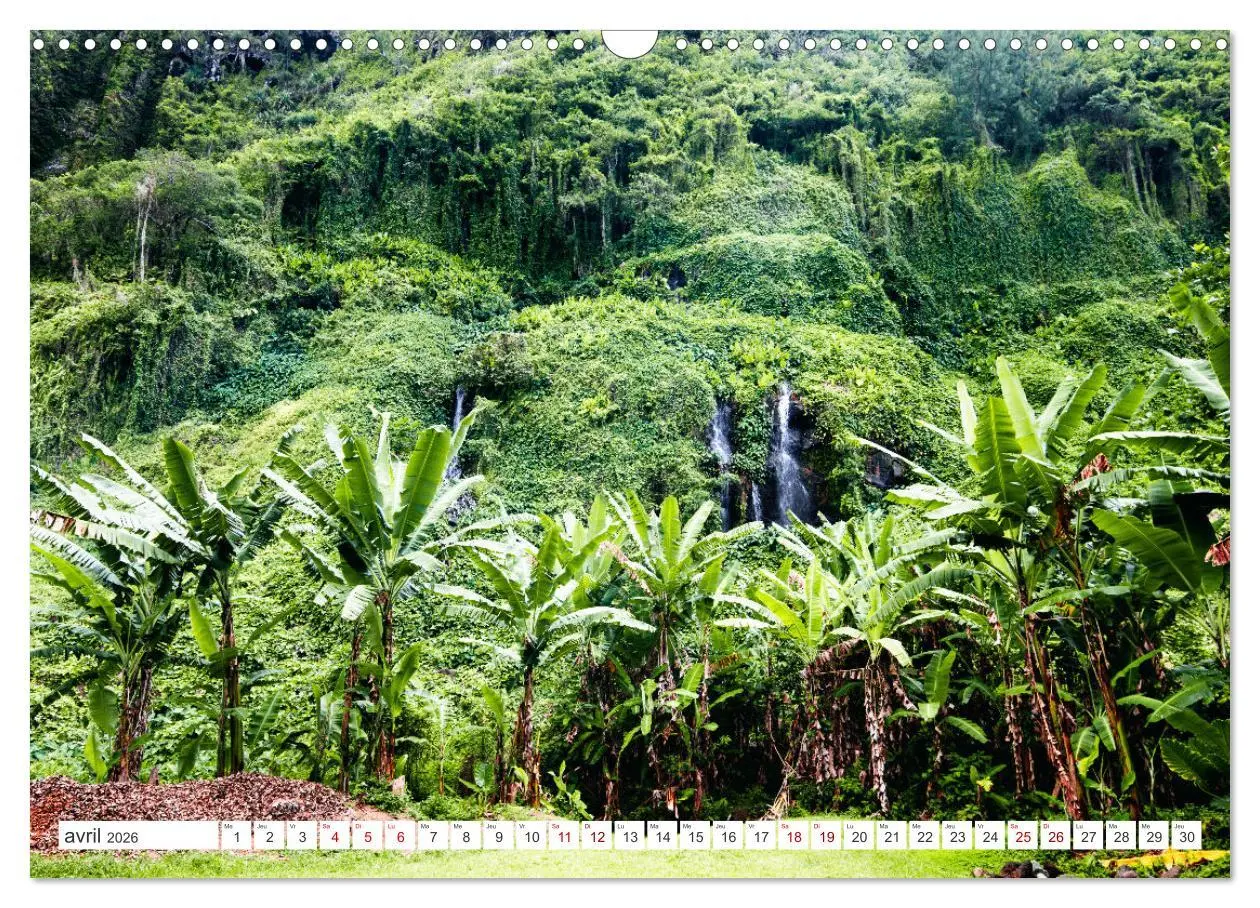 Bild: 9783516535884 | Île de la Réunion - Le paradis français dans l'océan Indien...