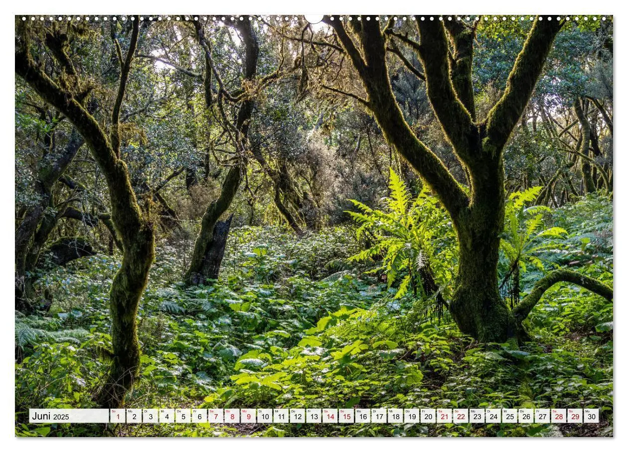 Bild: 9783383875984 | Kanarische Inseln - El Hierro (Wandkalender 2025 DIN A2 quer),...