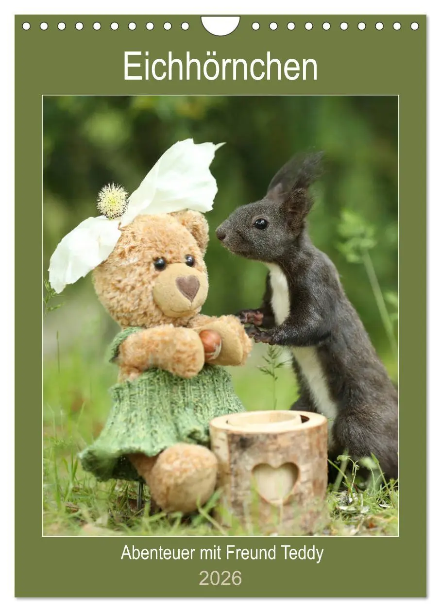 Cover: 9783516385984 | Eichhörnchen - Abenteuer mit Freund Teddy (Wandkalender 2026 DIN A4...