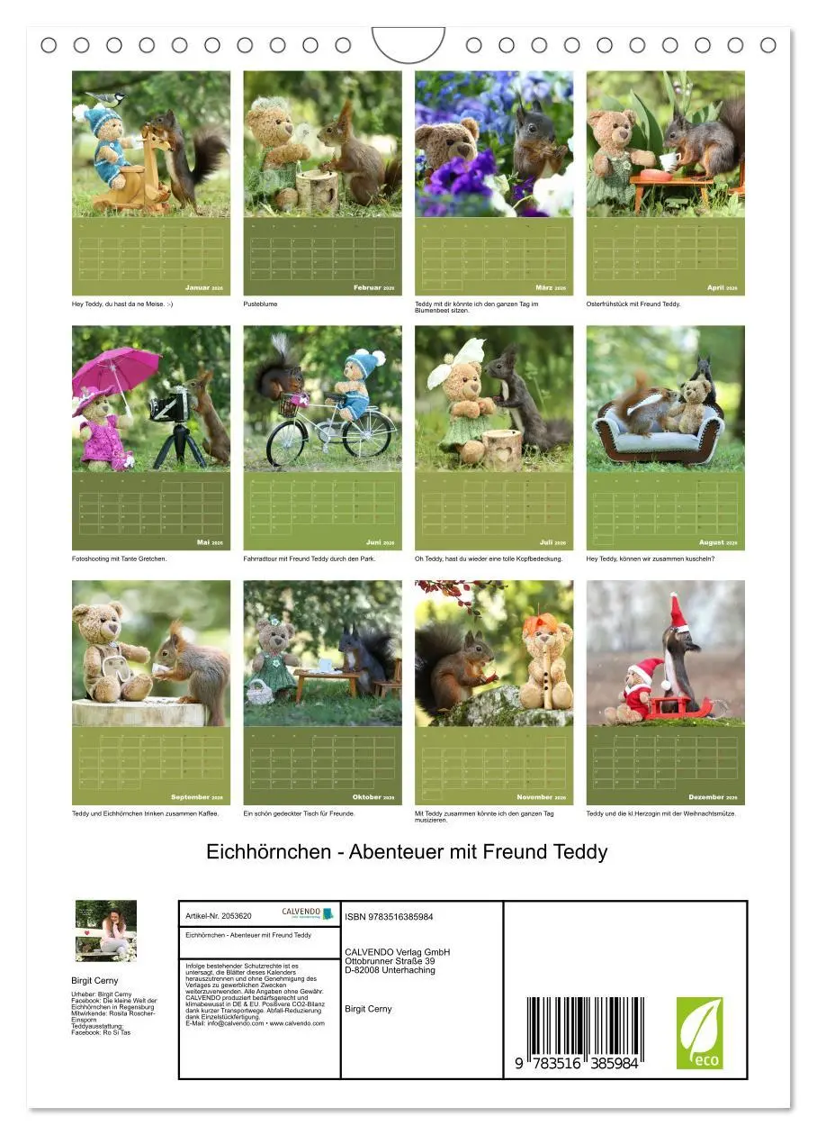 Bild: 9783516385984 | Eichhörnchen - Abenteuer mit Freund Teddy (Wandkalender 2026 DIN A4...