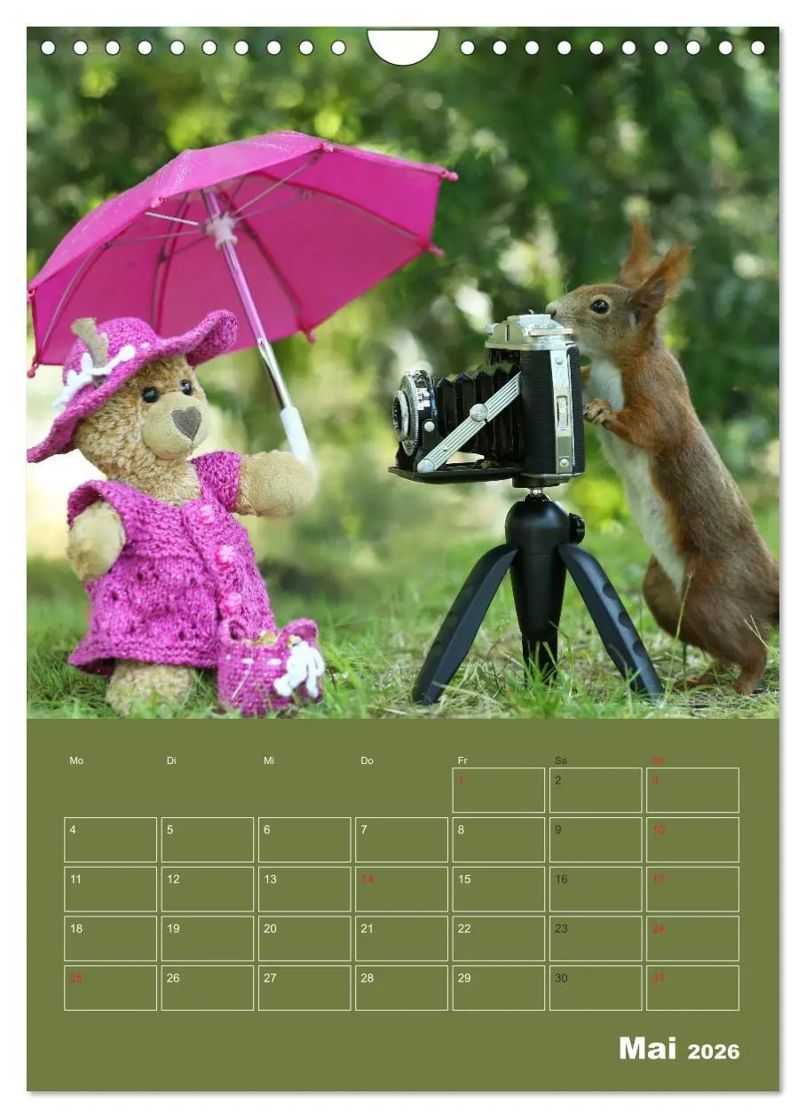 Bild: 9783516385984 | Eichhörnchen - Abenteuer mit Freund Teddy (Wandkalender 2026 DIN A4...