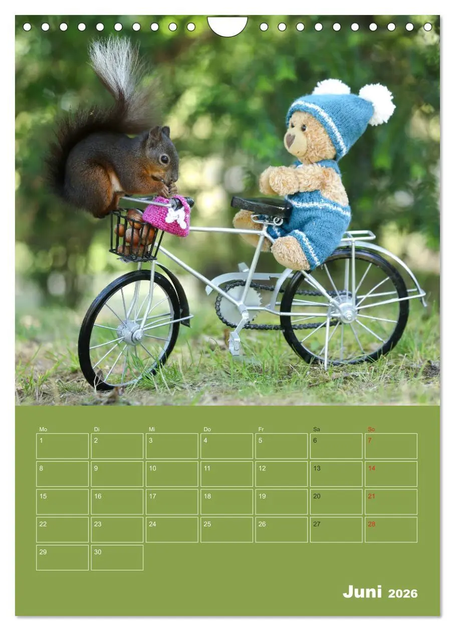 Bild: 9783516385984 | Eichhörnchen - Abenteuer mit Freund Teddy (Wandkalender 2026 DIN A4...