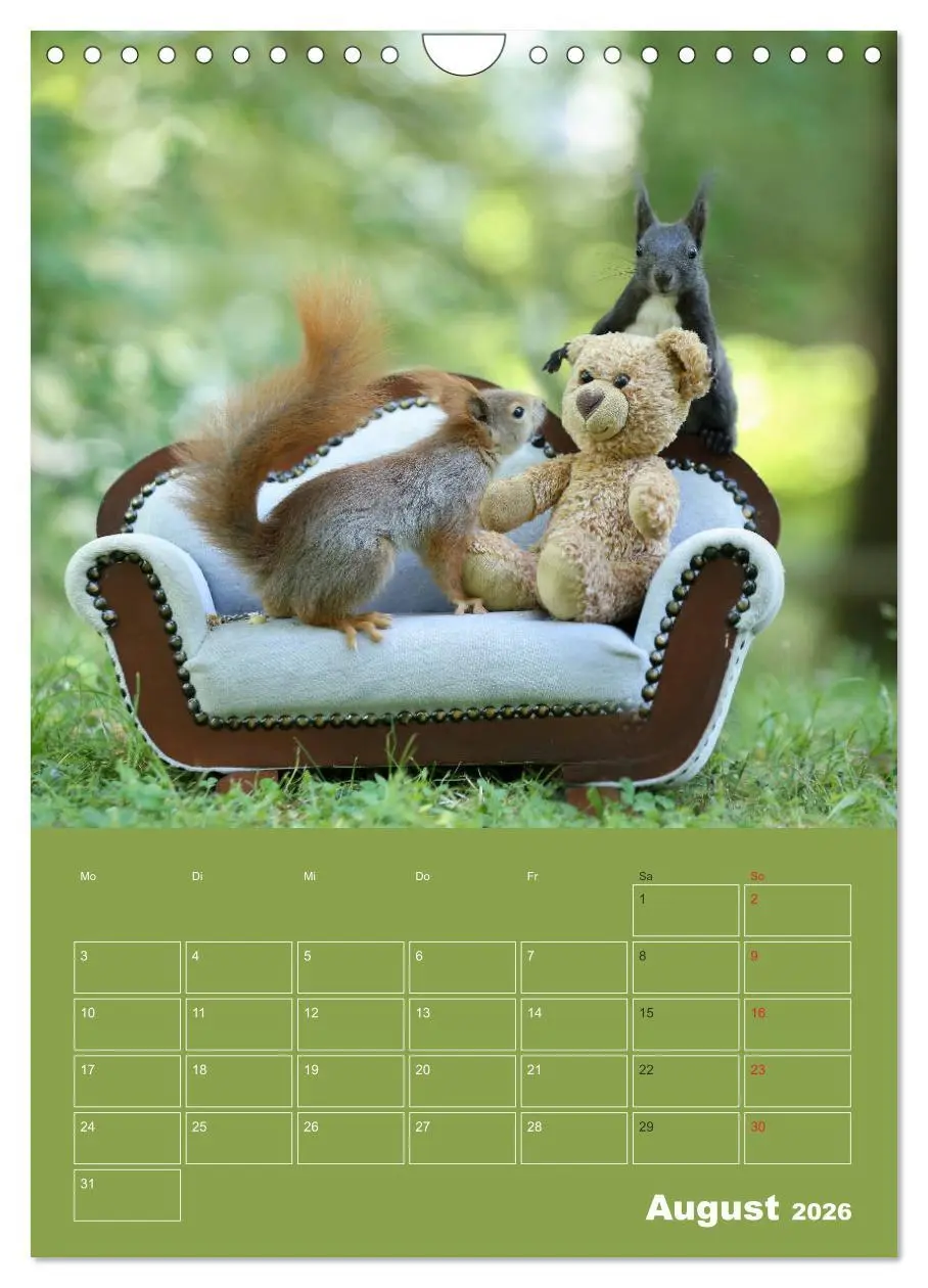 Bild: 9783516385984 | Eichhörnchen - Abenteuer mit Freund Teddy (Wandkalender 2026 DIN A4...