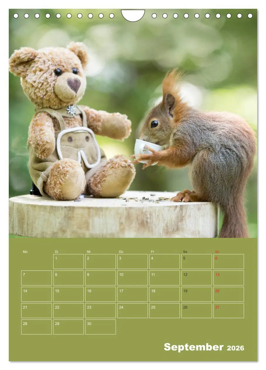 Bild: 9783516385984 | Eichhörnchen - Abenteuer mit Freund Teddy (Wandkalender 2026 DIN A4...
