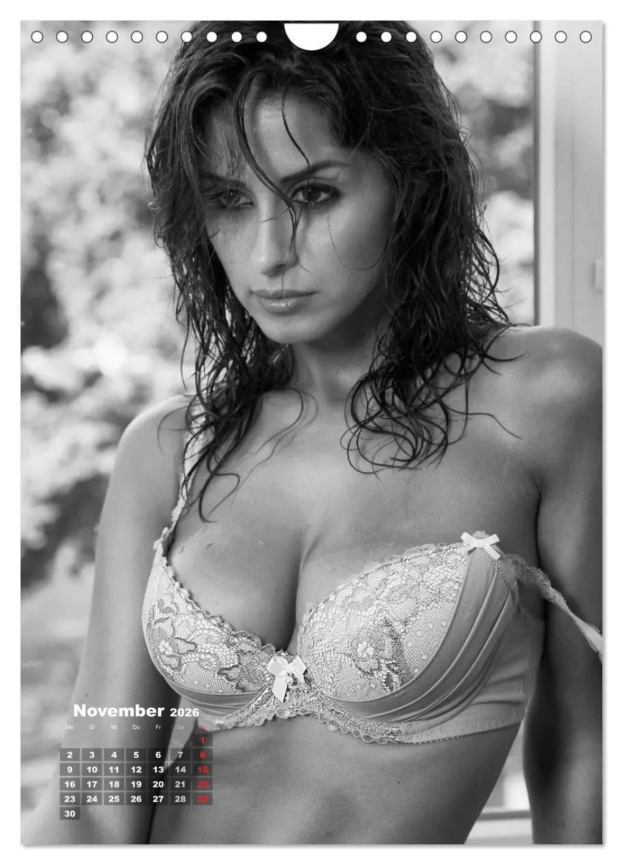 Bild: 9783516416084 | NILU LINGERIE 2026 (Wandkalender 2026 DIN A4 hoch), CALVENDO...