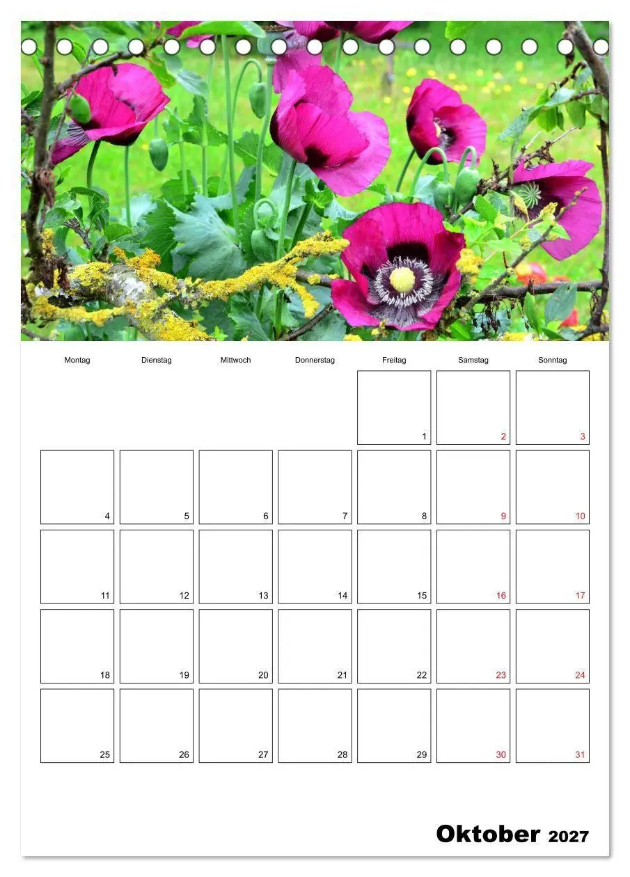 Bild: 9783569736184 | Langeoog - eine Trauminsel (Tischkalender 2027 DIN A5 hoch),...
