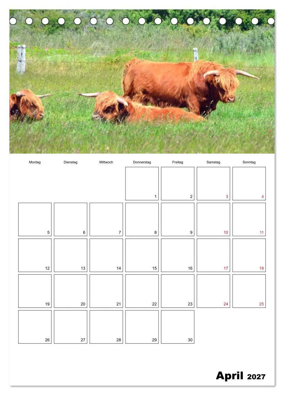 Bild: 9783569736184 | Langeoog - eine Trauminsel (Tischkalender 2027 DIN A5 hoch),...