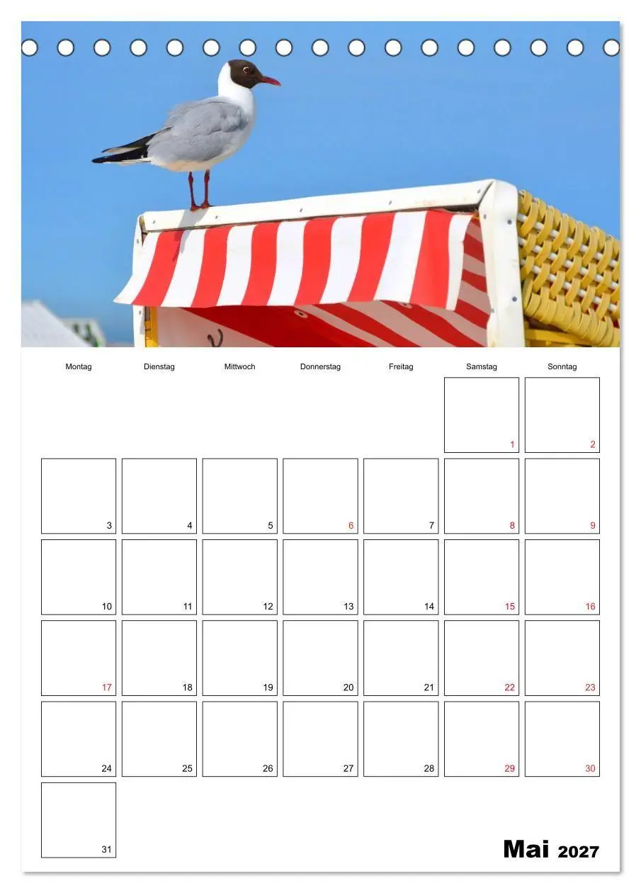 Bild: 9783569736184 | Langeoog - eine Trauminsel (Tischkalender 2027 DIN A5 hoch),...