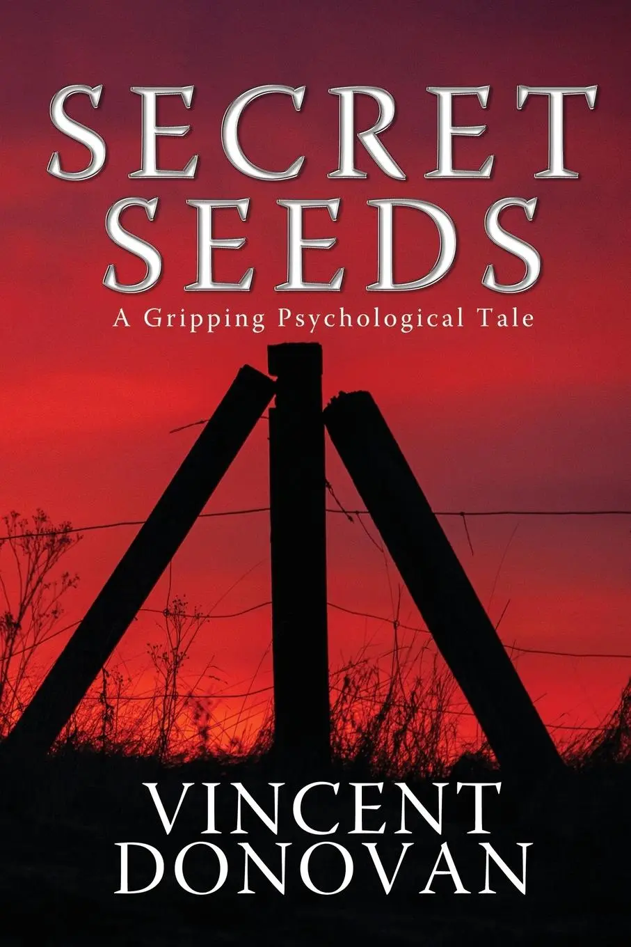 Cover: 9781685136284 | Secret Seeds | A Gripping Psychological Tale | Vincent Donovan | Buch