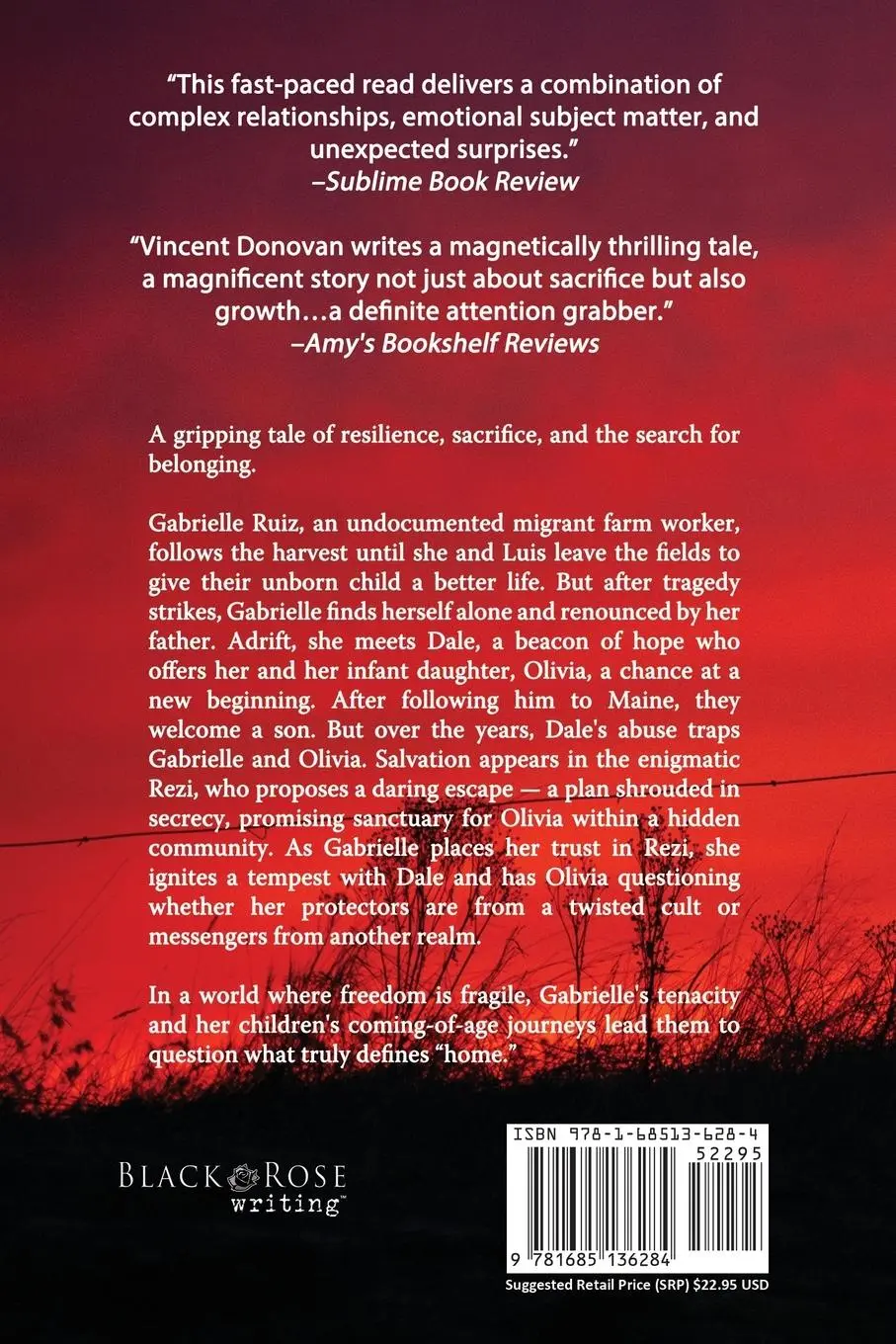 Rückseite: 9781685136284 | Secret Seeds | A Gripping Psychological Tale | Vincent Donovan | Buch