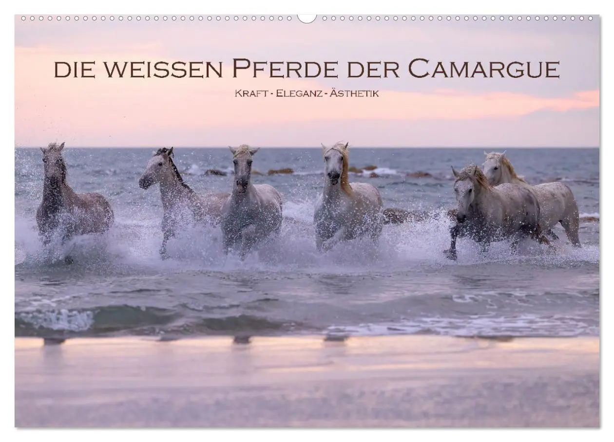 Cover: 9783457306284 | Die weißen Pferde der Camargue (Wandkalender 2026 DIN A2 quer),...