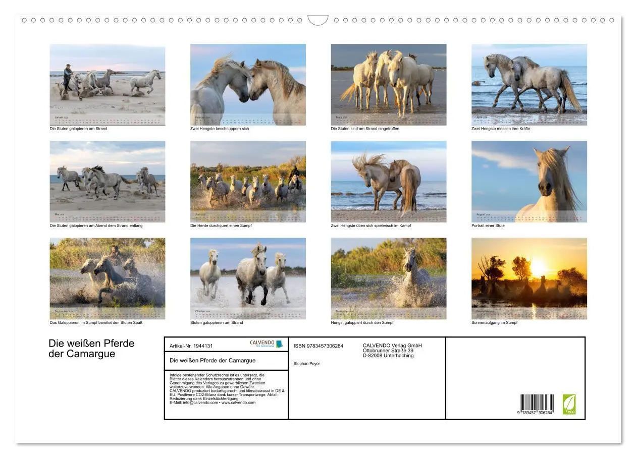 Bild: 9783457306284 | Die weißen Pferde der Camargue (Wandkalender 2026 DIN A2 quer),...